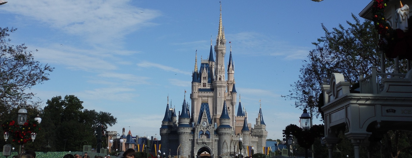 Disneyworld Castle