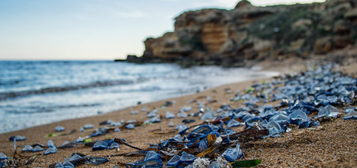 Sicily - Adventurousfigs