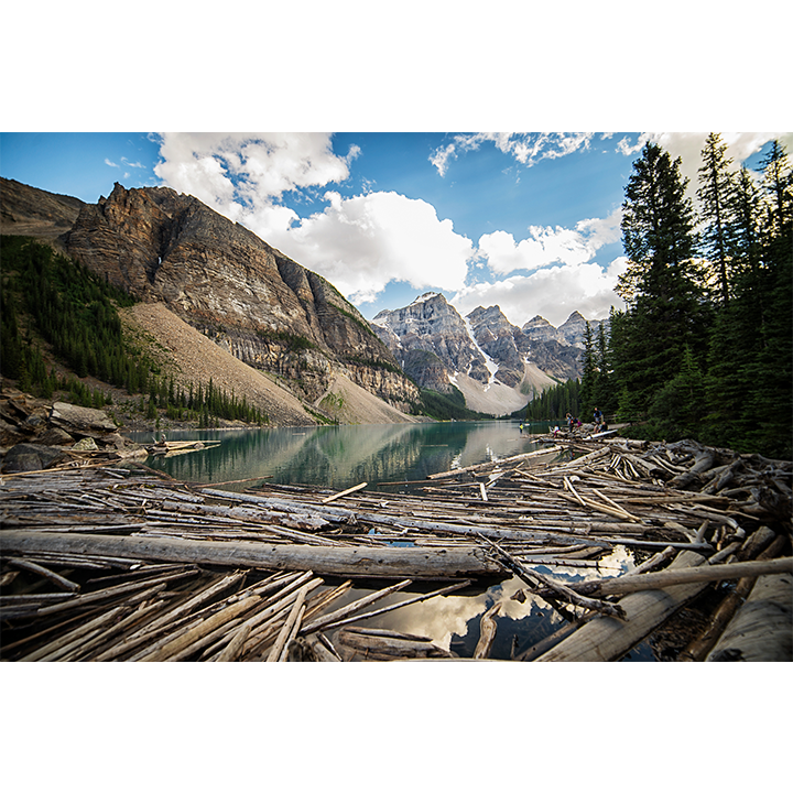 Moraine Lake Logs - Canada