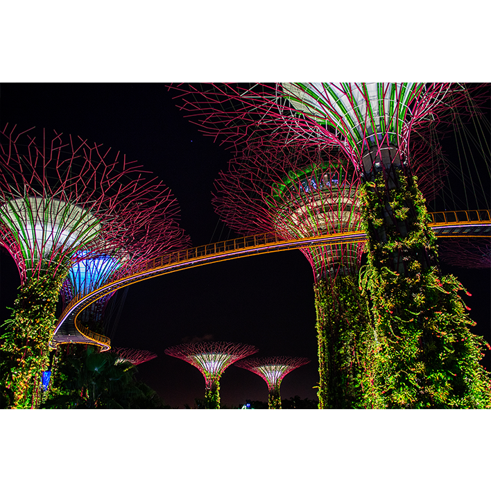 Garden By the Bay - Singapore