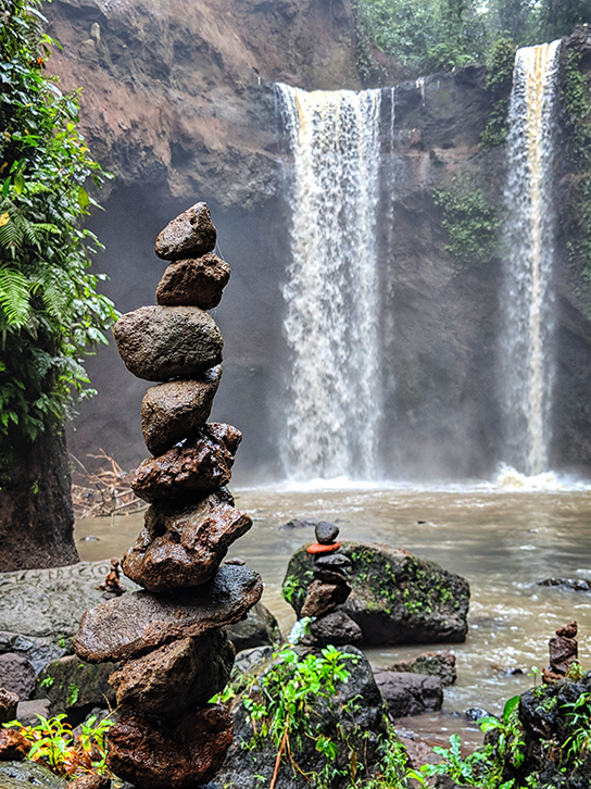 Bali - Adventurous Figs