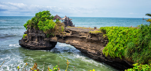 Bali - Adventurous Figs