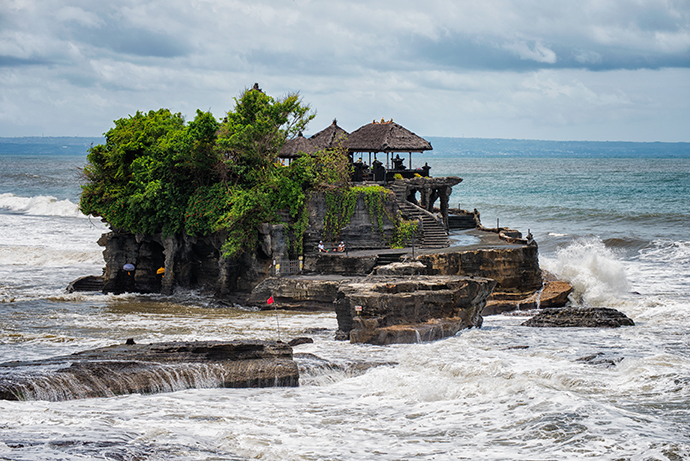 Bali - Adventurous Figs