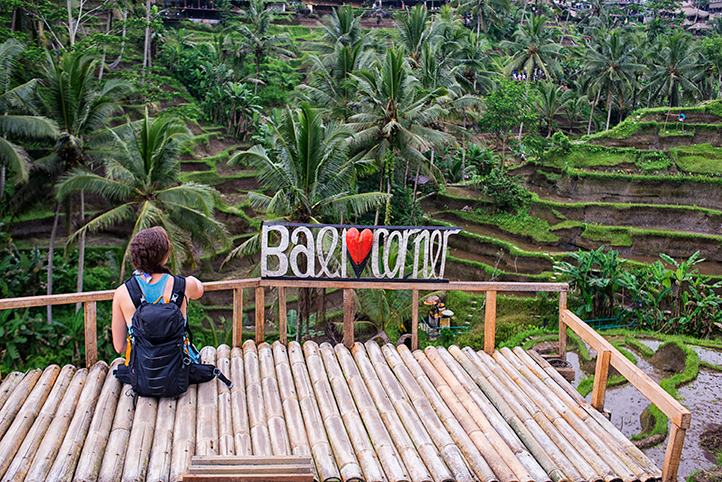 Bali - Adventurous Figs