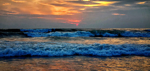 Bali - Adventurous Figs