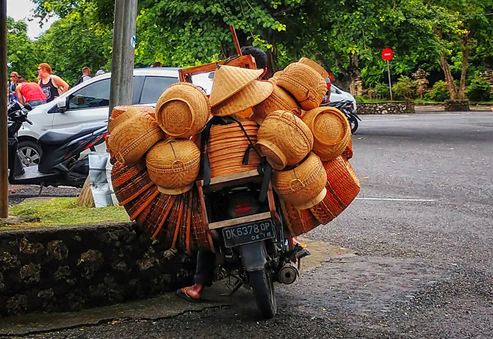 Bali - Adventurous Figs