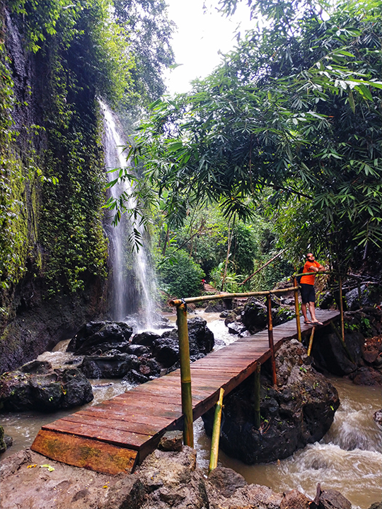 Bali - Adventurous Figs