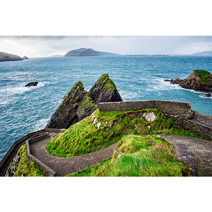 Sheep's Highway - Ireland