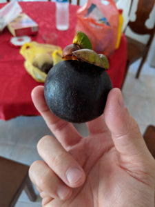 Philippines - Adventurous Figs